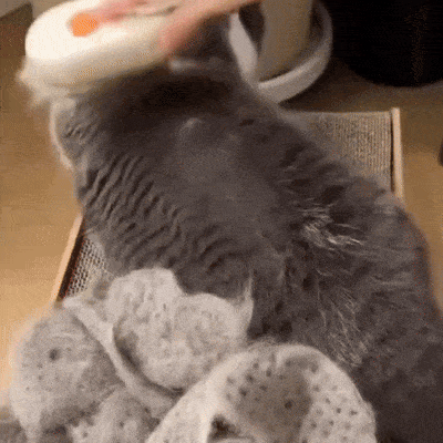 Pet Hair Remover Comb